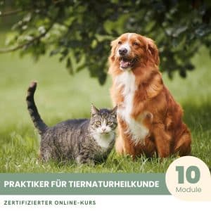 Praktiker für Tiernaturheilkunde - Zertifizierter Kurs