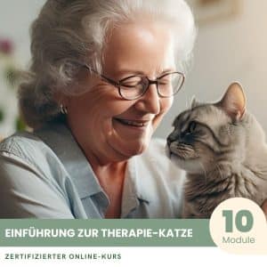 Einführung in die Therapie-Katze - Zertifizierter Kurs