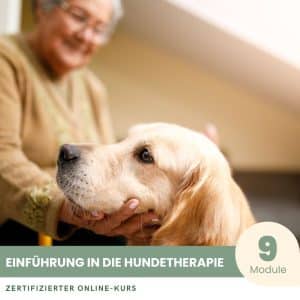 Einführung in die Hundetherapie - Zertifizierter Kurs